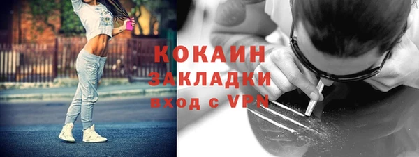 кокс Алексин