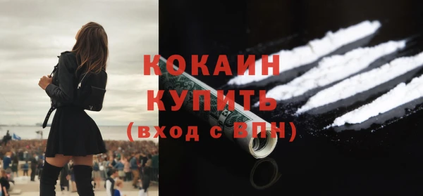 кокс Алексин