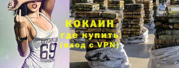 гашик Осташков