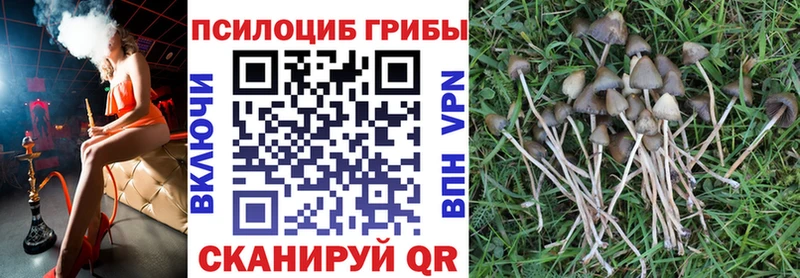 Псилоцибиновые грибы прущие грибы Любим